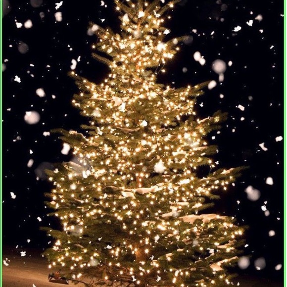 🌙🌑🌜8th Season with Poshmark Warm Wishes🌜🌑🌙 - Picture 14 of 17